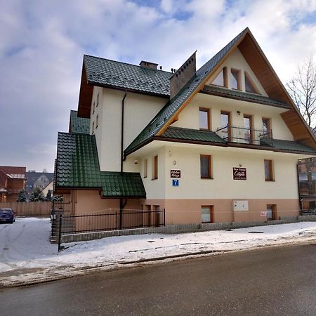 Willa Cetyna Zakopane Kültér fotó